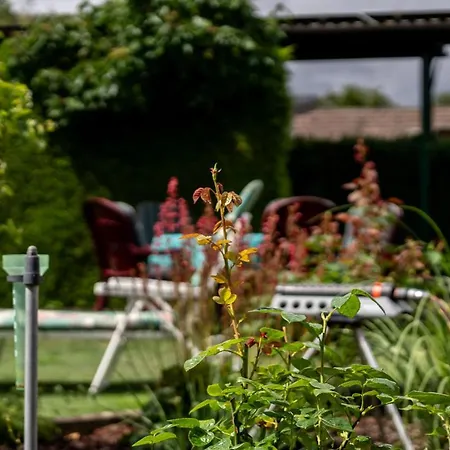 Mit Balkon Рехлин